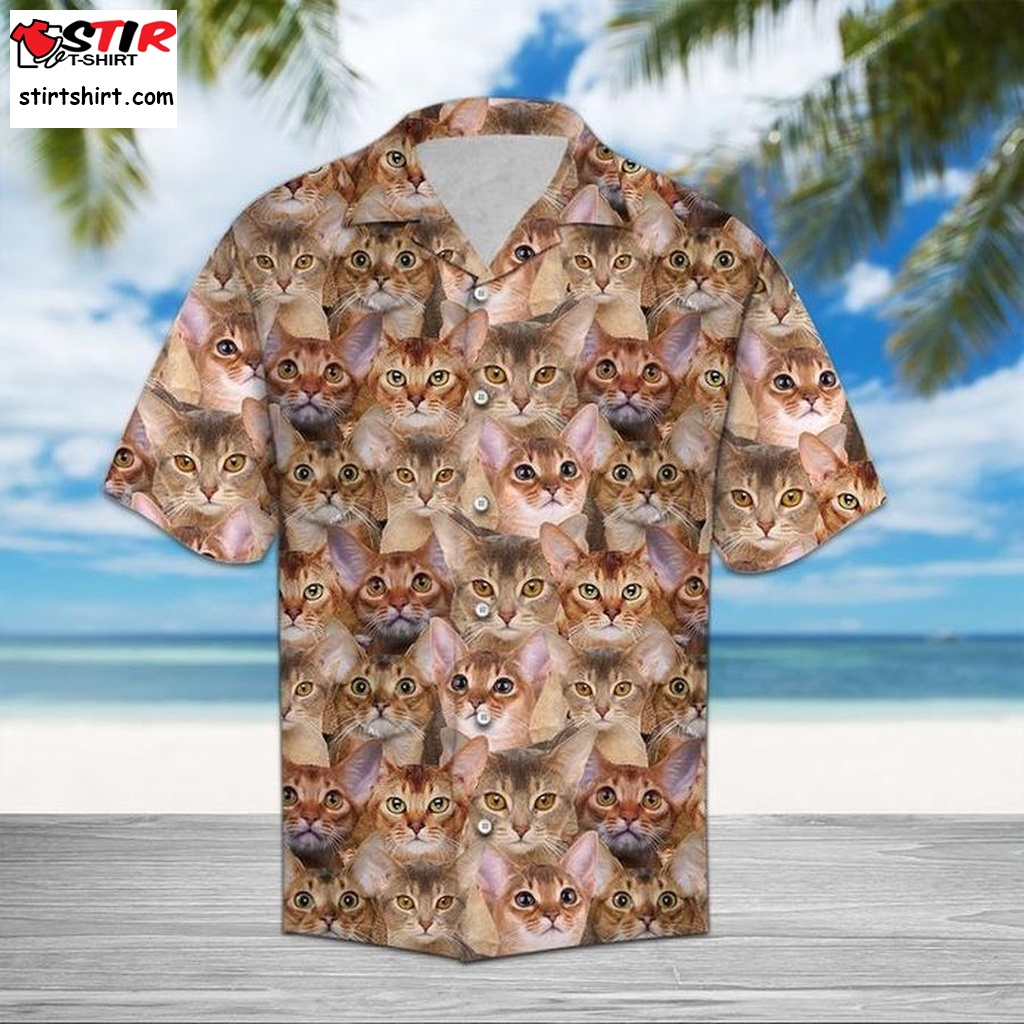 Abyssinian Awesome Hawaiian Shirt Funny Shirts, Gift Shirts, Graphic Tee