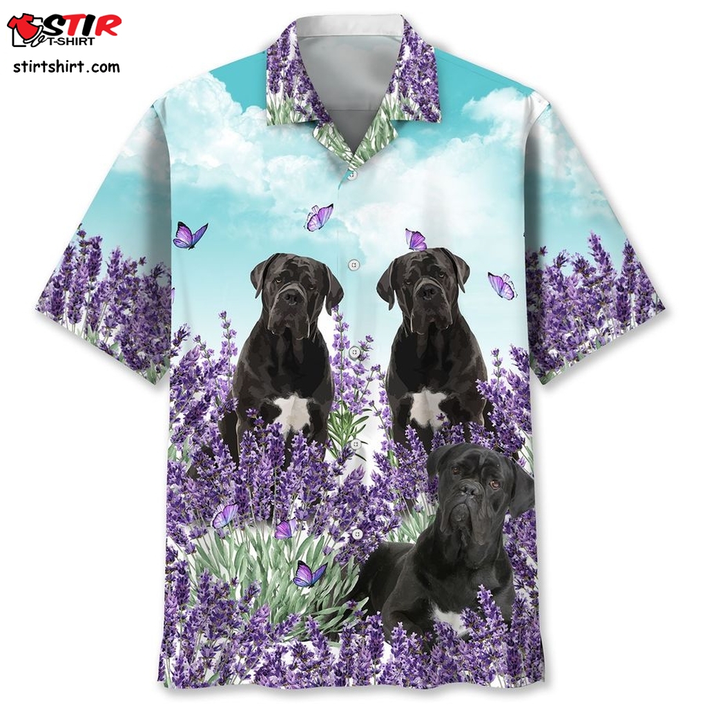 Cane Corso Lavender Hawaii Shirt   Outfits Men