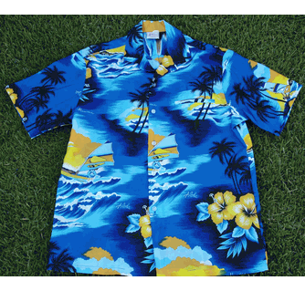 Hawaiian Shirtgif  Blue And Yellow 