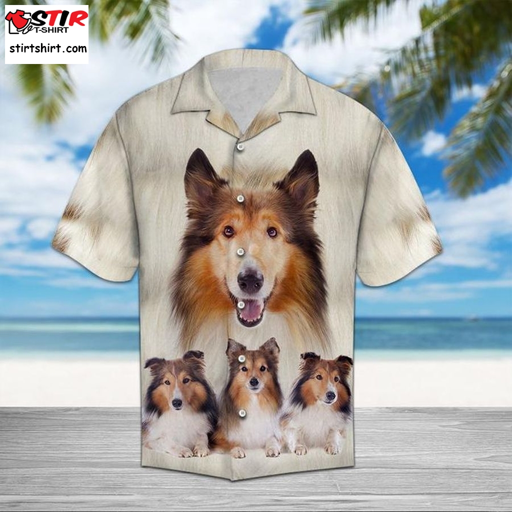 Collie Great Hawaiian Shirt Pre10637, Hawaiian Shirt, Beach Shorts, One Piece Swimsuit, Polo Shirt, Funny Shirts, Gift Shirts, Graphic Tee  Ladies s