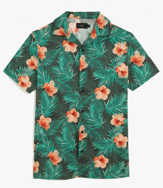 Coolest Hawaiian Shirts And Where To Buy Thempng   Green