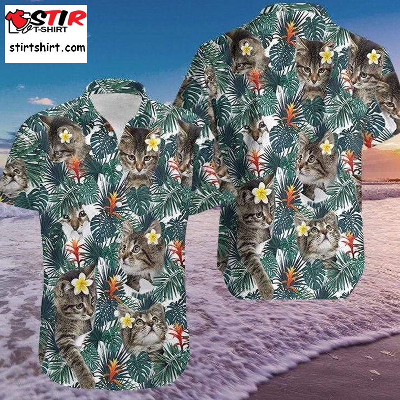 Cute Little Cat Tropical Hawaiian Shirt Pre13251, Hawaiian Shirt, Beach Shorts, One Piece Swimsuit, Polo Shirt, Funny Shirts, Gift Shirts