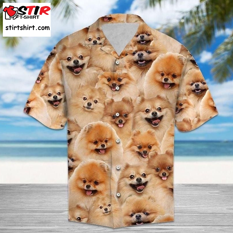 Pomeranian Hawaiian Shirt Pre10148, Hawaiian Shirt, Beach Shorts, One Piece Swimsuit, Polo Shirt, Personalized Shirt, Funny Shirts, Gift Shirts