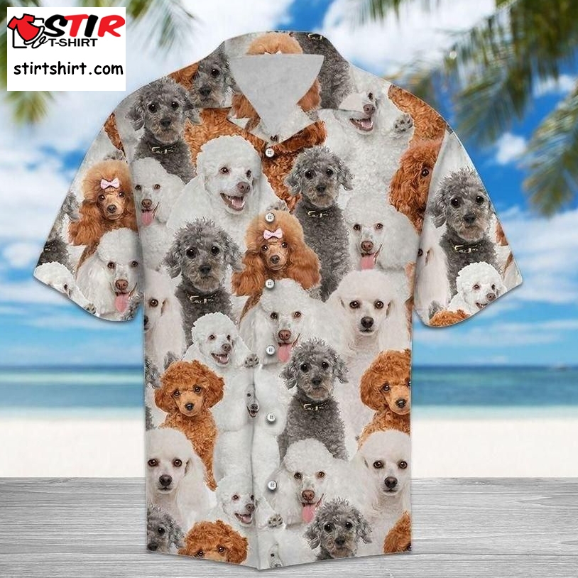 Poodle Hawaiian Shirt Pre12421, Hawaiian Shirt, Beach Shorts, One Piece Swimsuit, Polo Shirt, Personalized Shirt, Funny Shirts, Gift Shirts