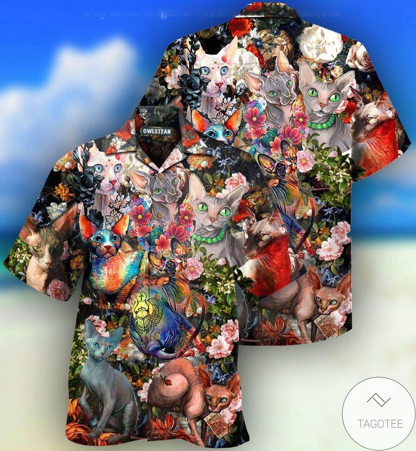 All I Need Is Sphynx Cats Hawaiian Shirt