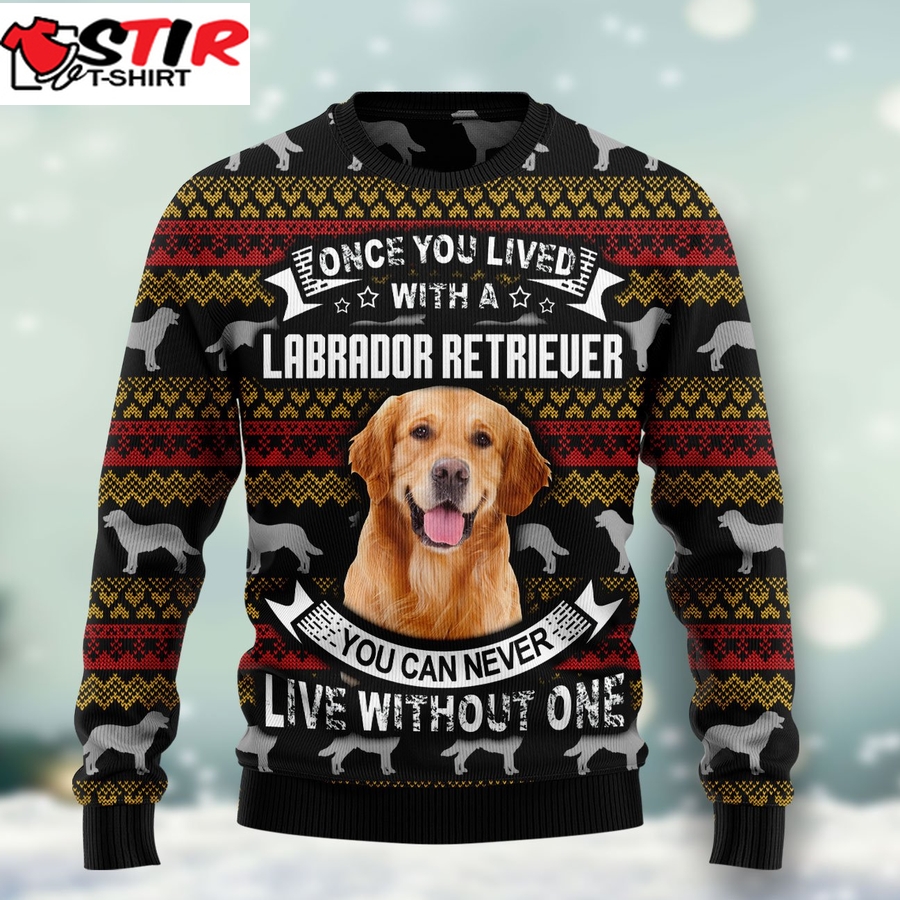 Labrador Retriever Ht071202 Ugly Christmas Sweater Unisex Womens & Mens, Couples Matching, Friends, Funny Family Ugly Christmas Holiday Sweater Gifts (Plus Size Available)   557