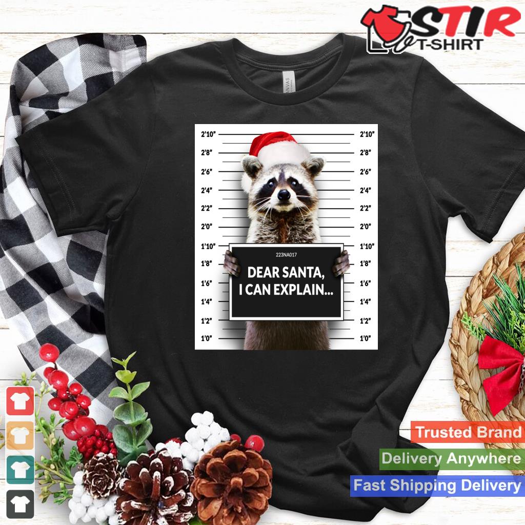 Dear Santa I Can Explain Funny Christmas Raccoon Hoodie_1