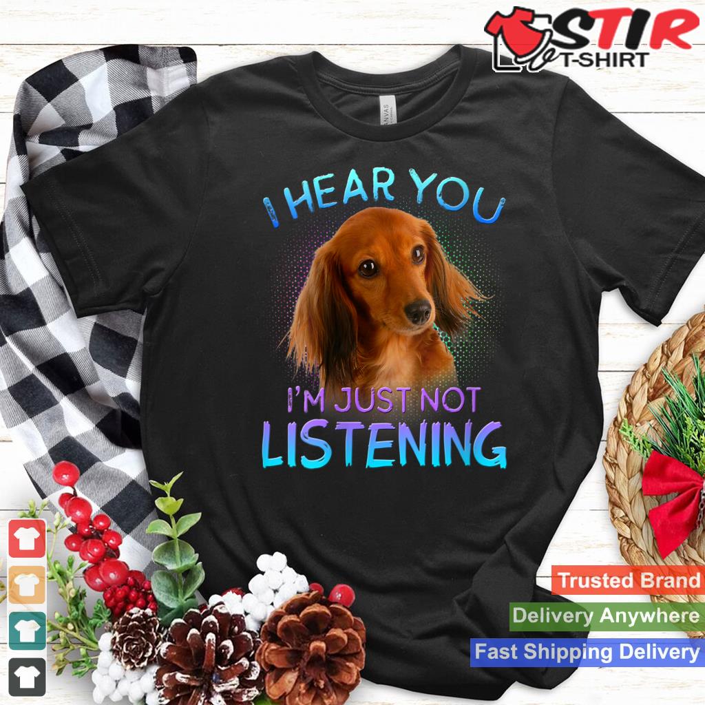 Womens Long Haired Dachshunds I Hear You Not Listening V Neck Shirt Hoodie Sweater Long Sleeve