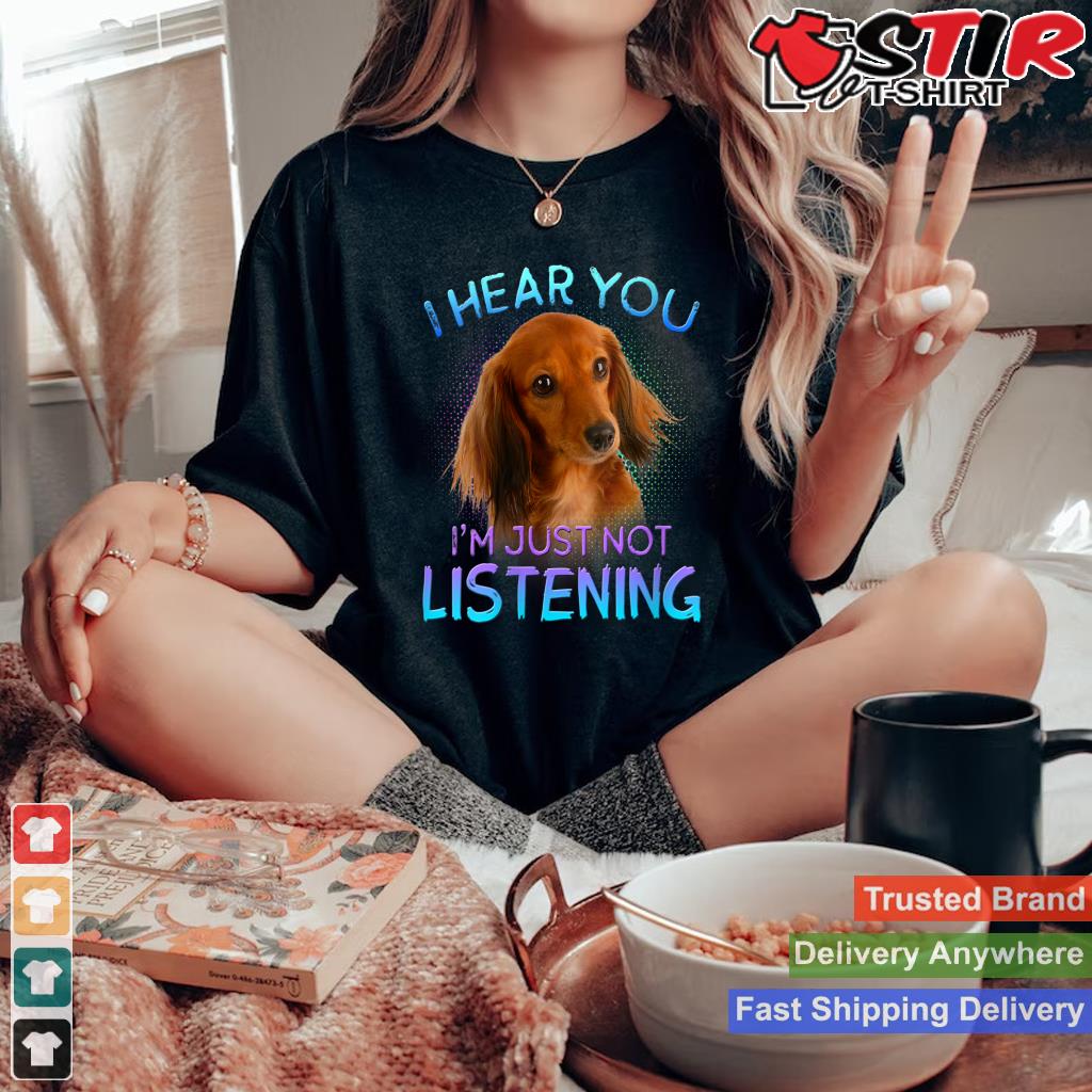 Womens Long Haired Dachshunds I Hear You Not Listening V Neck Shirt Hoodie Sweater Long Sleeve
